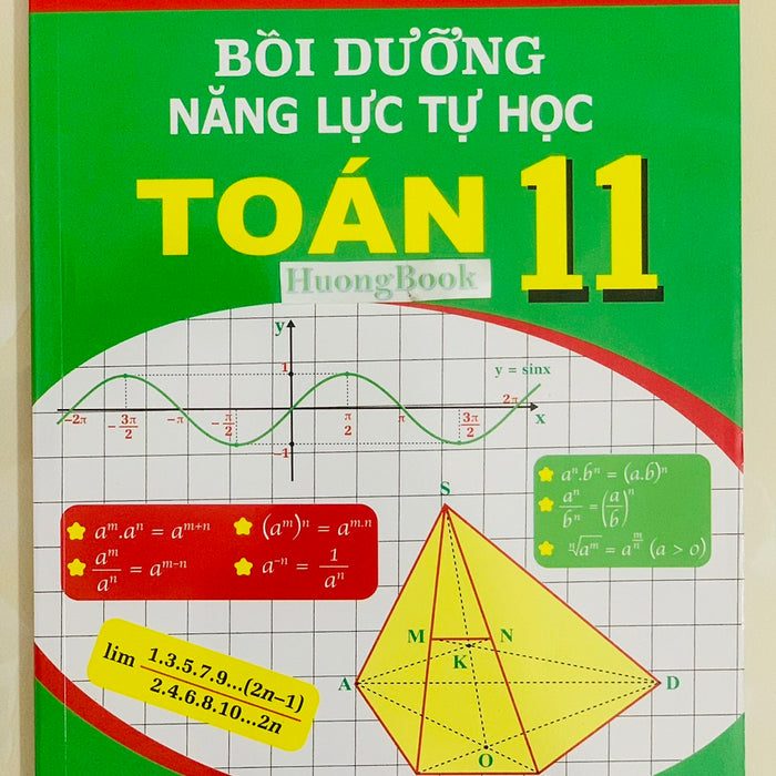 Sách - Bồi Dưỡng Năng Lực Tự Học Toán 11