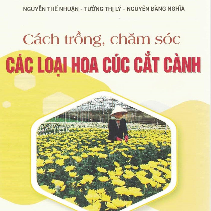 Cách Trồng, Chăm Sóc Các Loại Hoa Cúc Cắt Cành