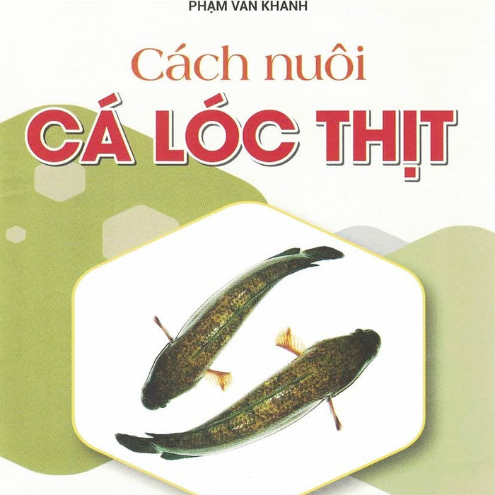 Cách Nuôi Cá Lóc Thịt