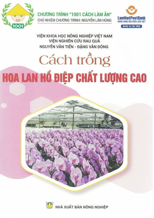 Cách Trồng Hoa Hồ Điệp Chất Lượng Cao