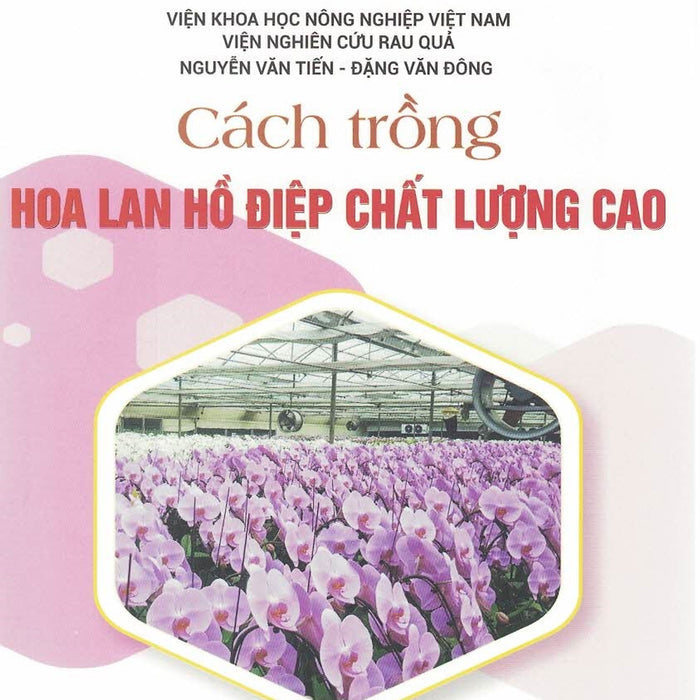 Cách Trồng Hoa Hồ Điệp Chất Lượng Cao