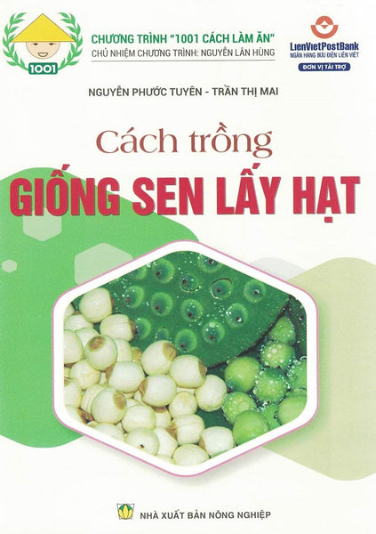 Cách Trồng Giống Sen Lấy Hạt