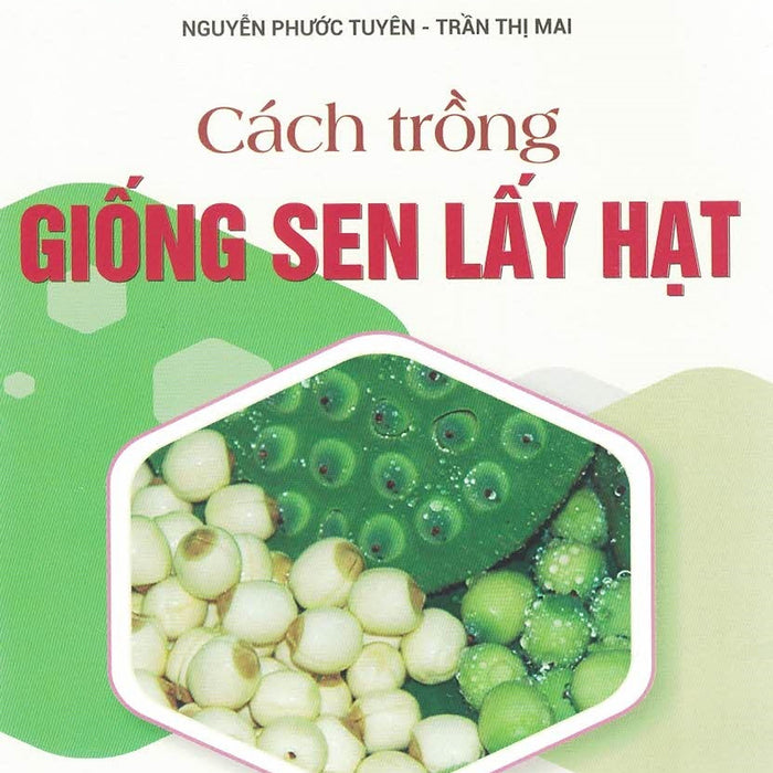 Cách Trồng Giống Sen Lấy Hạt