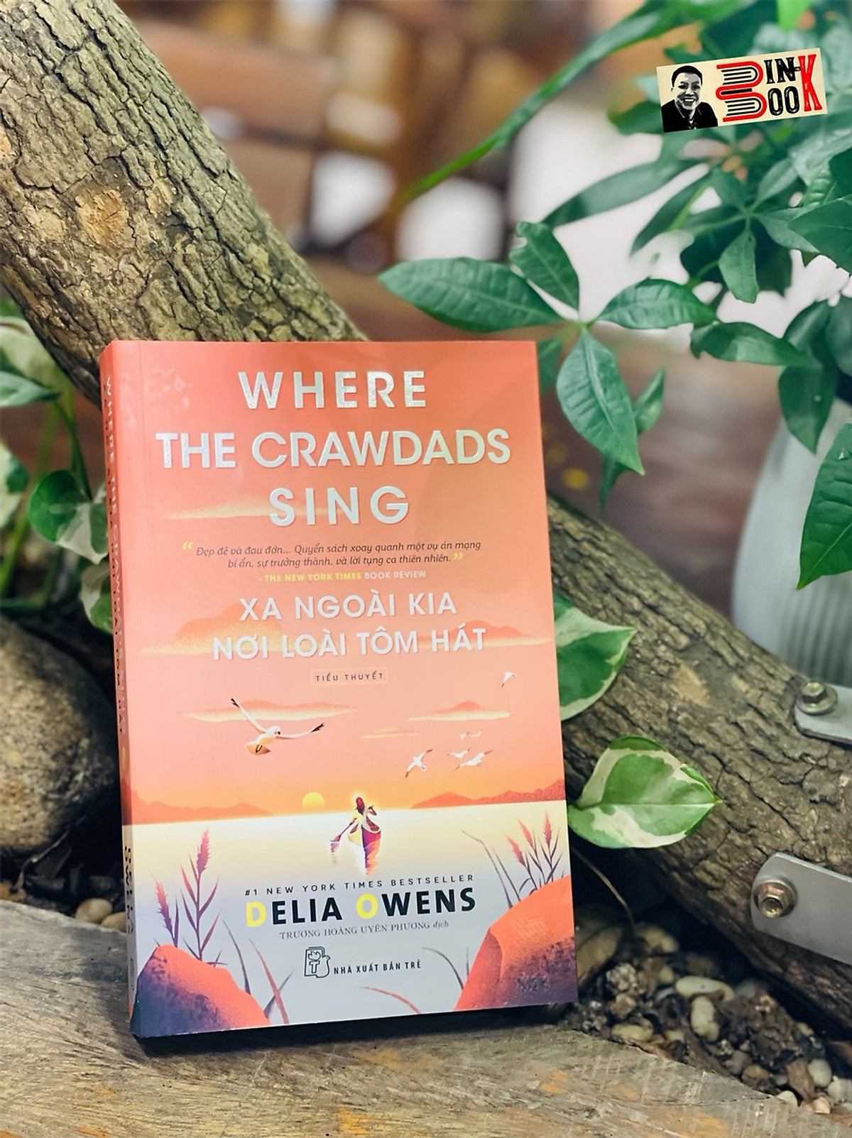 (#1 New Yorrk Time Bestseller) Xa Ngoài Kia Nơi Loài Tôm Hát - Delia Owens - Trương Hoàng Uyên Phương Dịch – Nxb Trẻ - Bìa Mềm