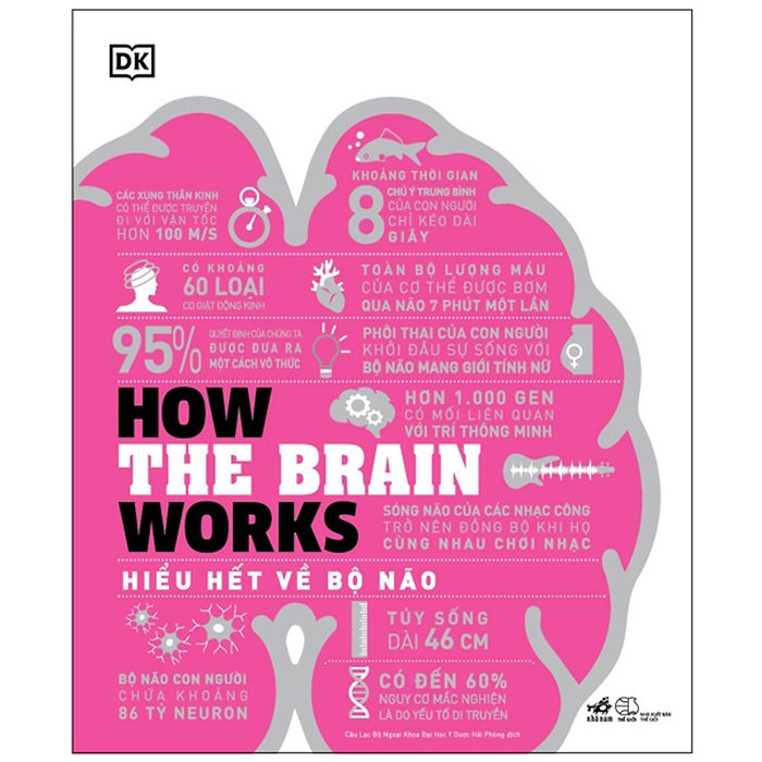 Sách Nhã Nam - How The Brain Works - Hiểu Hết Về Bộ Não