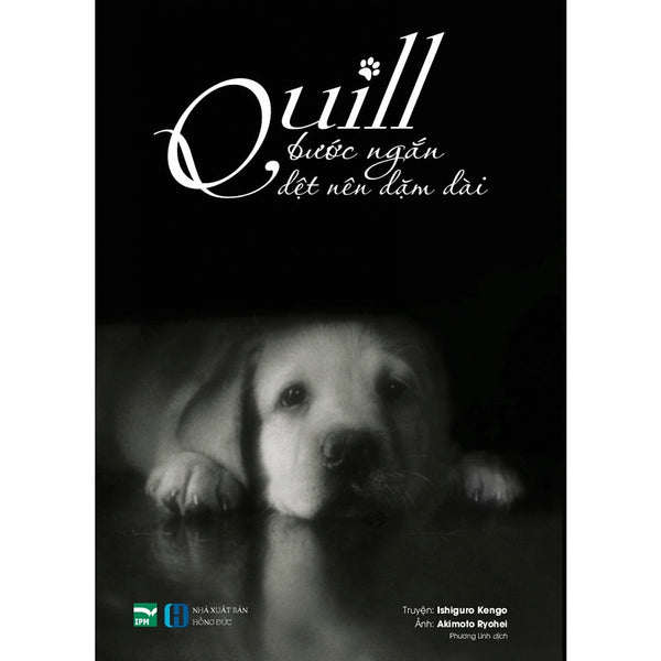 Quill – Bước Ngắn Dệt Nên Dặm Dài