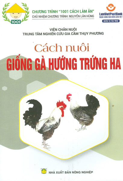 Cách Nuôi Giống Gà Hướng Trứng Ha