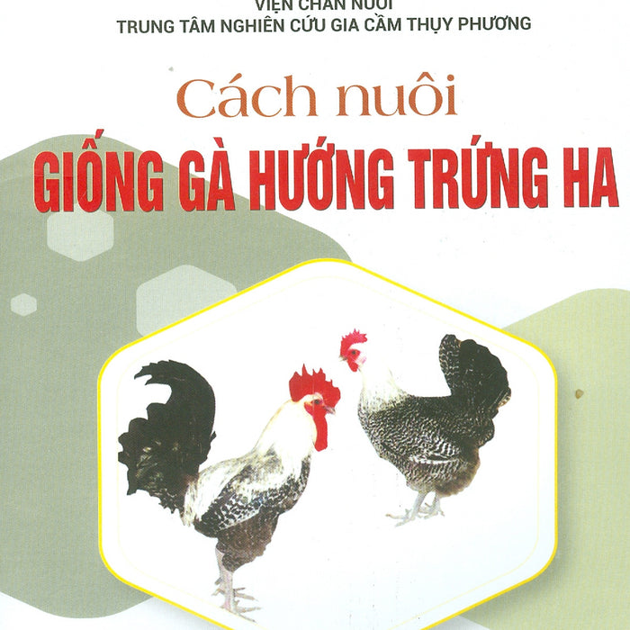 Cách Nuôi Giống Gà Hướng Trứng Ha