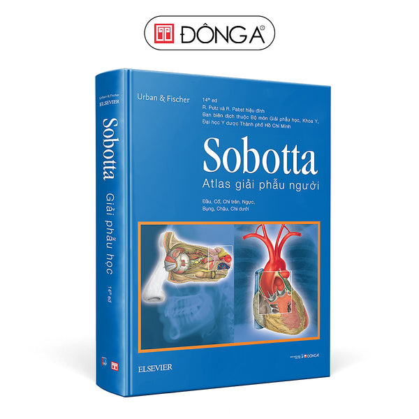 Sobotta 'Atlas' Giải Phẫu Người