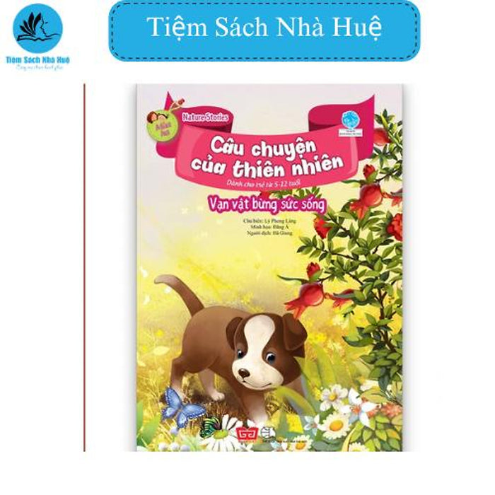 Sách Nature Stories – Câu Chuyện Của Thiên Nhiên - Mùa Hạ - Vạn Vật Bừng Sức Sống, Thiếu Nhi, Đinh Tị