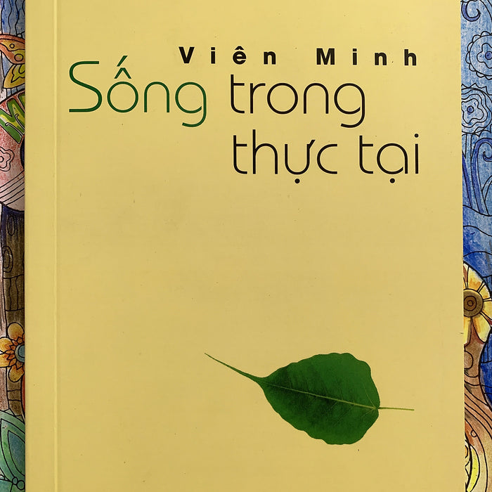 Sống Trong Thực Tại - Thầy Viên Minh