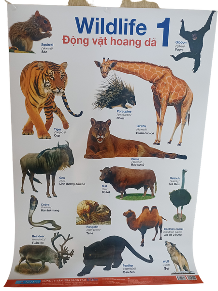 Poster Lớn - Động Vật Hoang Dã 1