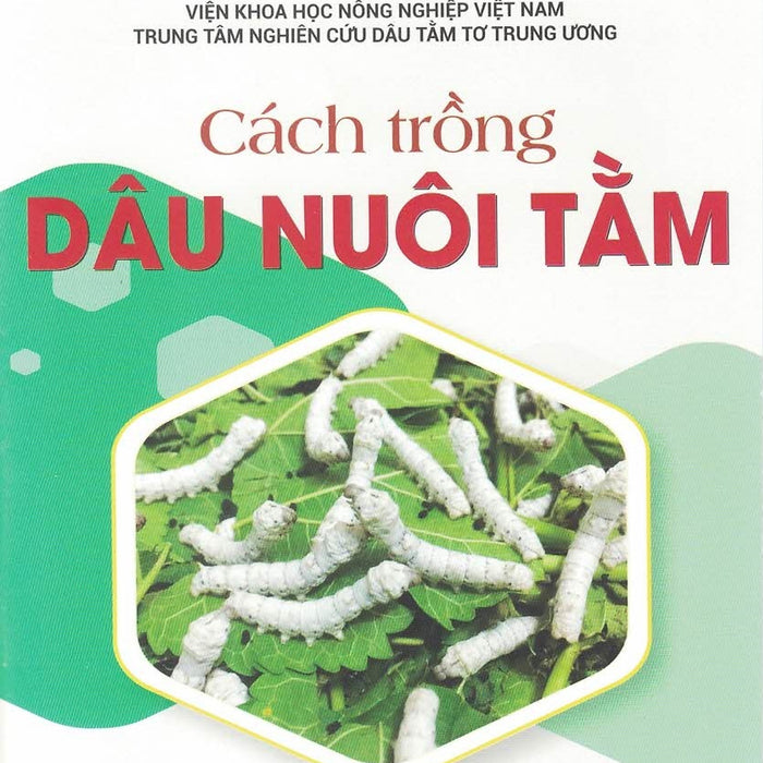 Cách Trồng Dâu Nuôi Tằm