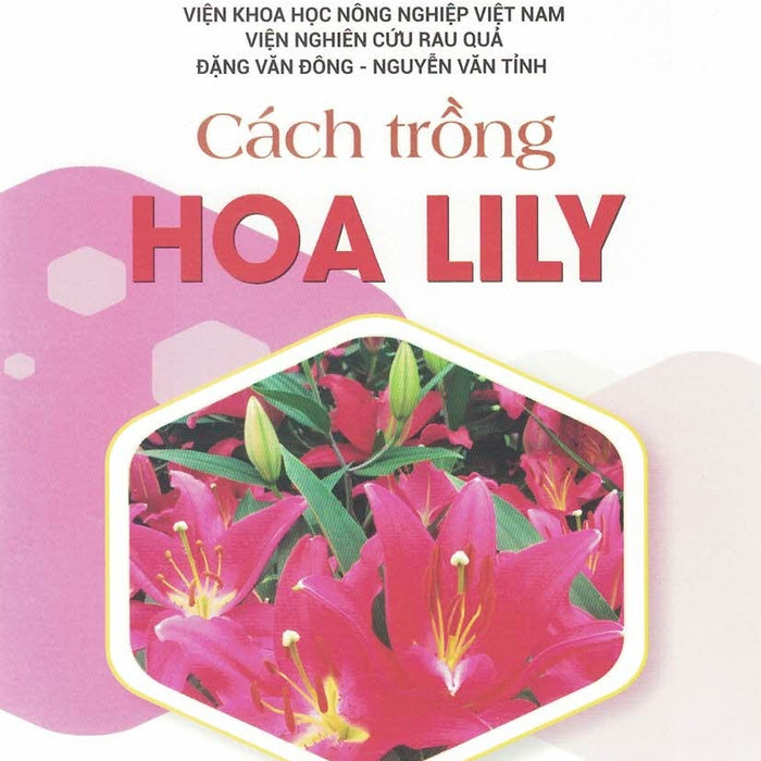 Cách Trồng Hoa Lily