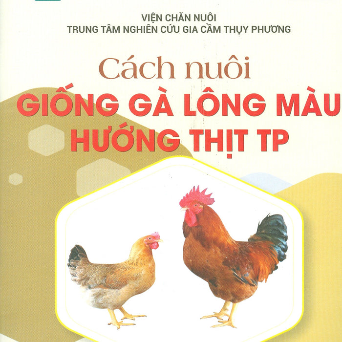 Cách Nuôi Giống Gà Lông Màu Hướng Thịt Tp