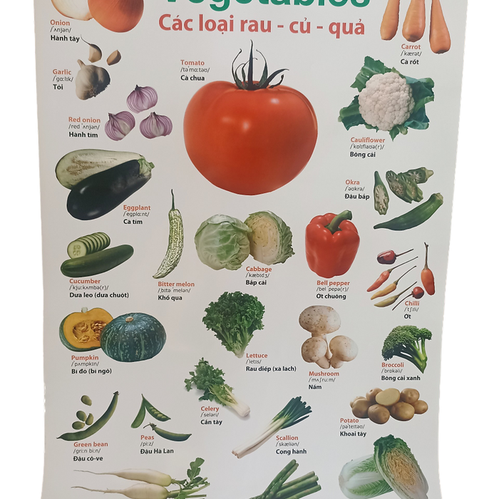 Poster Lớn - Các Loại Rau - Củ - Quả