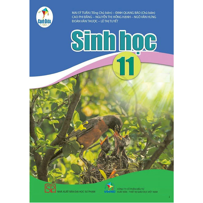 Sách - Sinh Học 11 Cánh Diều Và 2 Tập Giấy Kiêm Tra Kẻ Ngang Vỏ Xanh