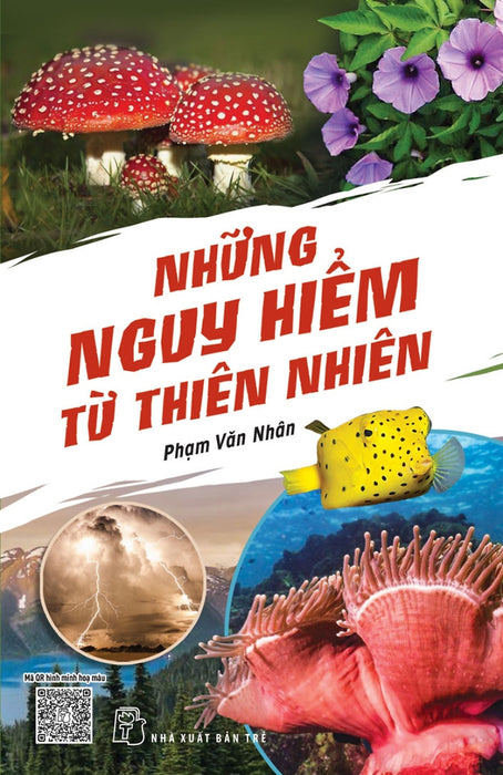 Những Nguy Hiểm Từ Thiên Nhiên _Tre