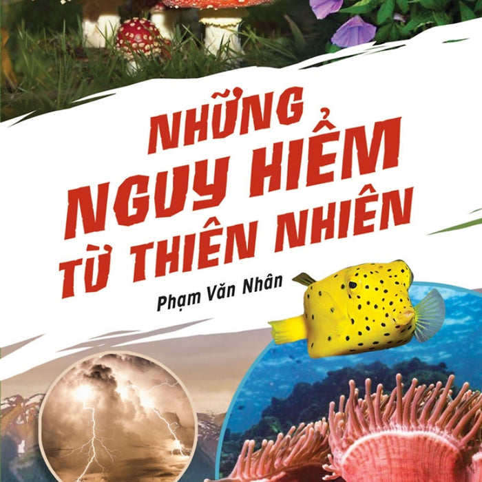 Những Nguy Hiểm Từ Thiên Nhiên _Tre