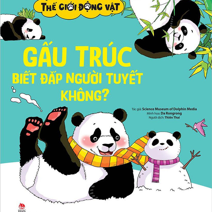 Thế Giới Động Vật - Gấu Trúc Biết Đắp Người Tuyết Không?