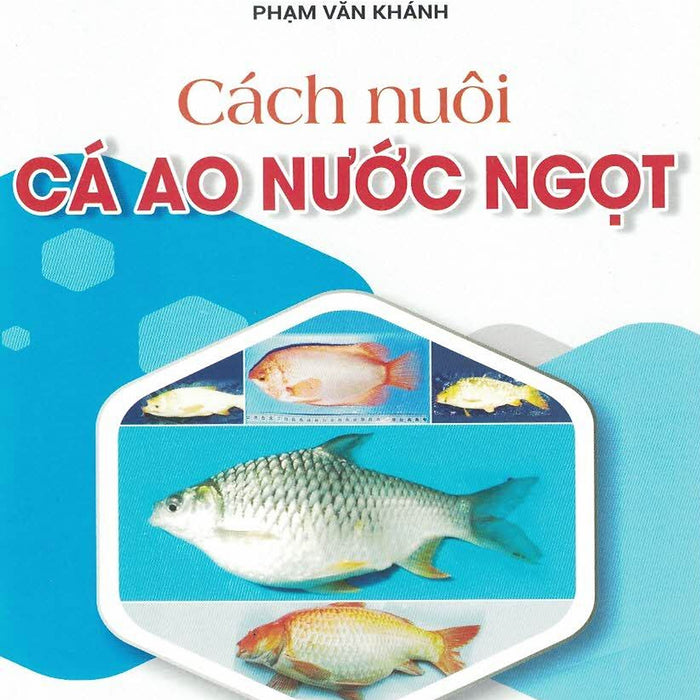 Cách Nuôi Cá Ao Nước Ngọt