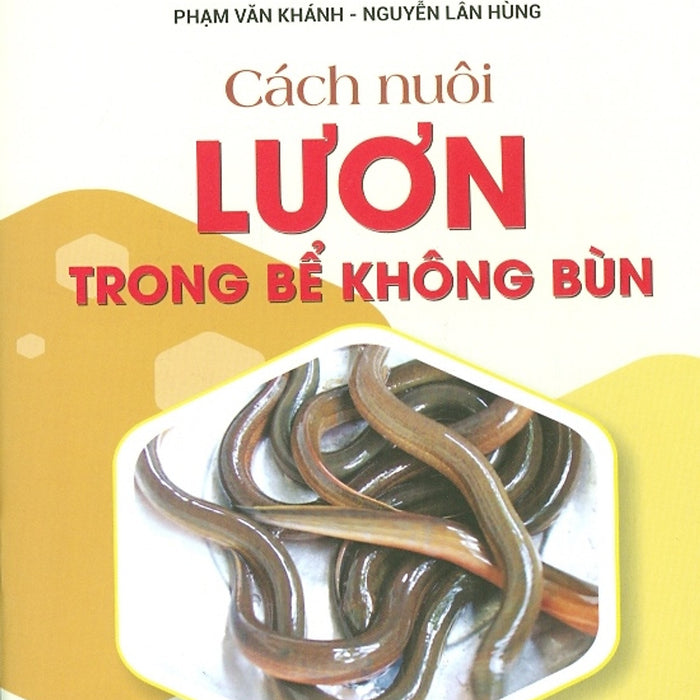 Cách Nuôi Lươn Trong Bể Không Bùn