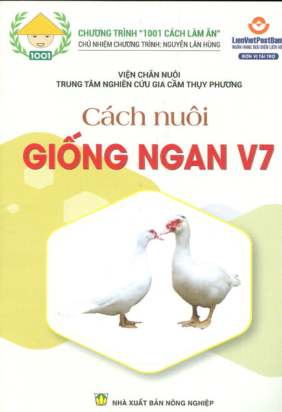 Cách Nuôi Giống Ngan V7