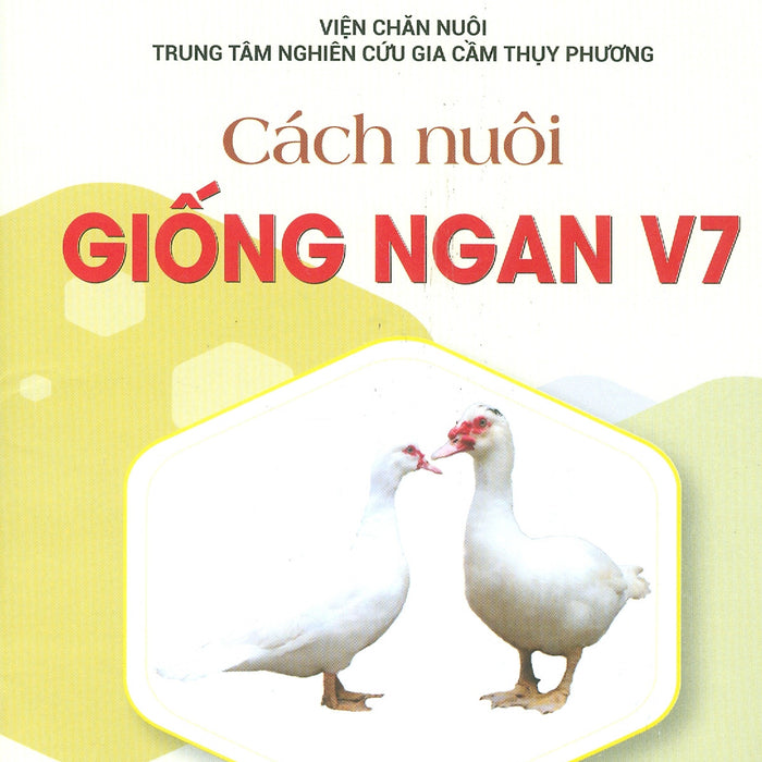 Cách Nuôi Giống Ngan V7