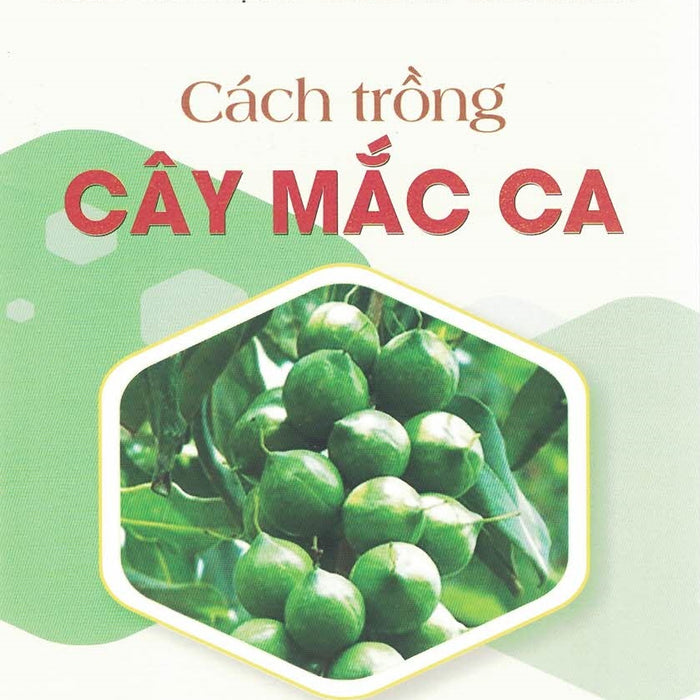 Cách Trồng Cây Mắc Ca