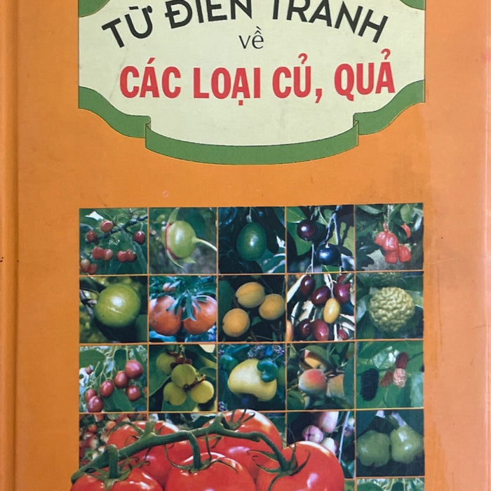 Từ Điển Tranh Về Các Loại Củ,Quả
