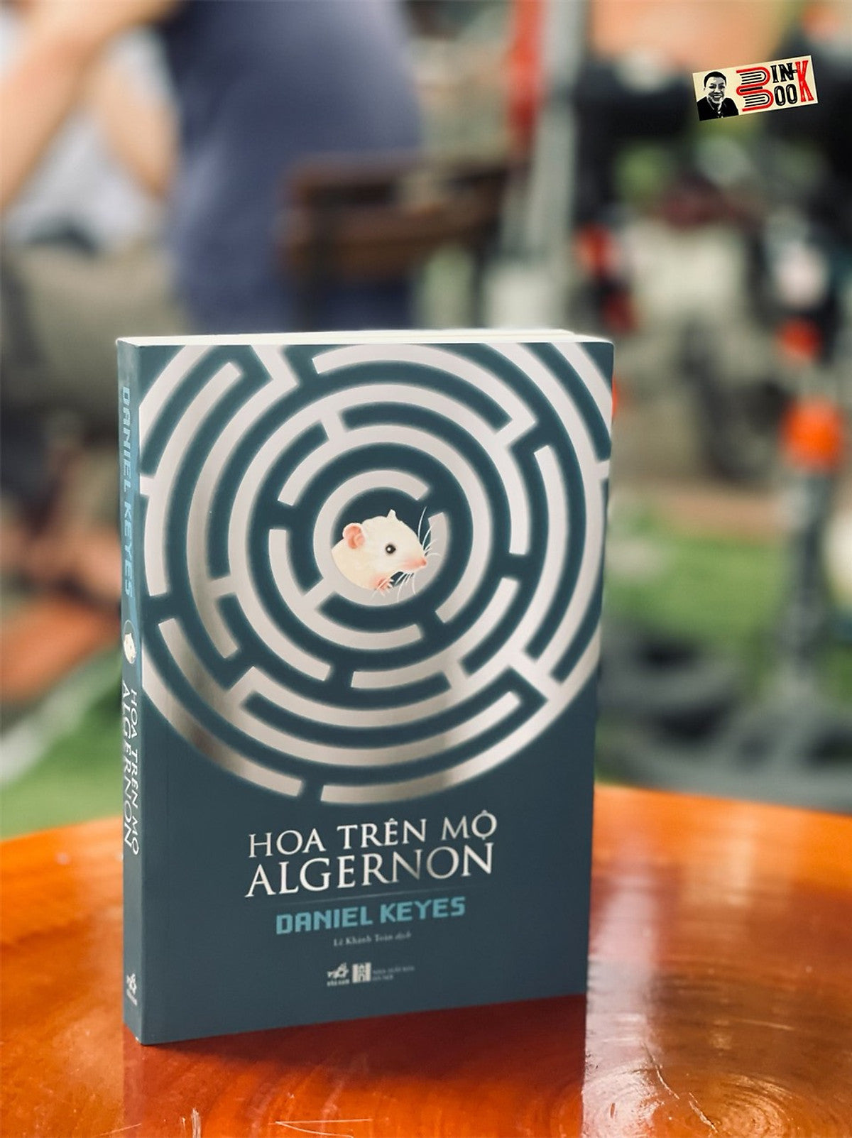 [Giải Nebula Award] Hoa Trên Mộ Algernon - Daniel Keyes - Nhã Nam (Tái Bản 2022) (Bìa Mềm)