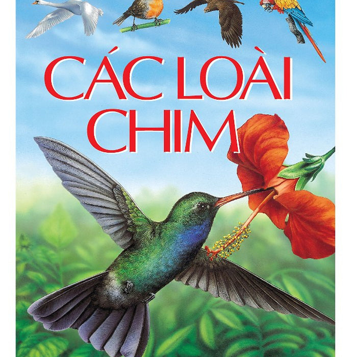 Tủ Sách Thế Giới Động Vật - Các Loài Chim