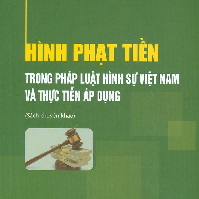 Hình Phạt Tiền Trong Pháp Luật Hình Sự Việt Nam Và Thực Tiễn Áp Dụng (Sách Chuyên Khảo)