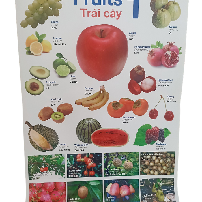 Poster Lớn - Trái Cây 1