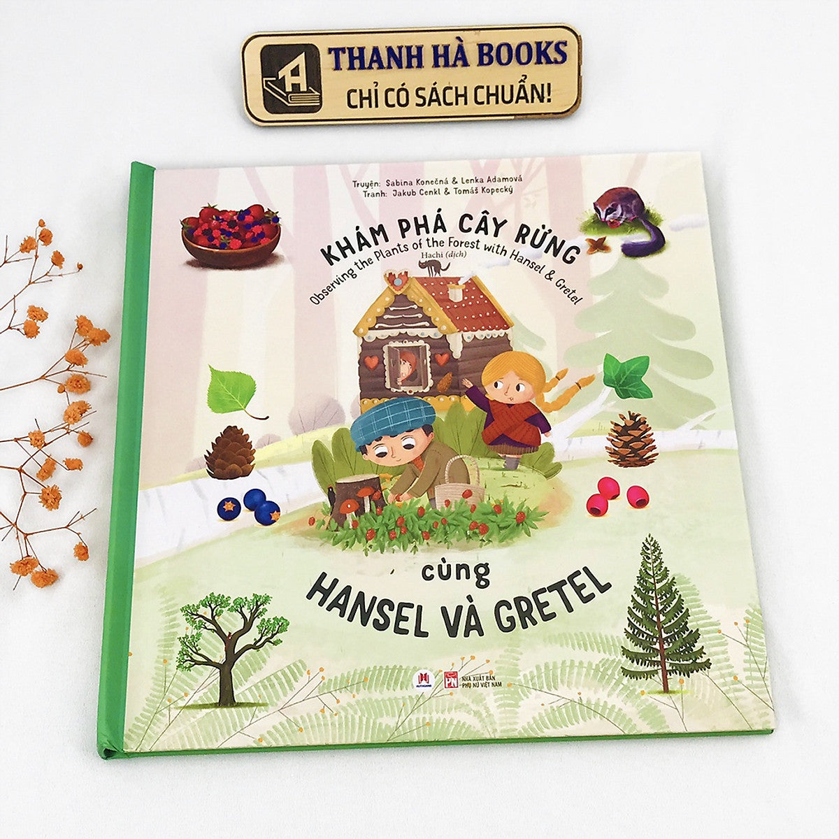 Khám Phá Cây Rừng Cùng Hansel Và Gretel
