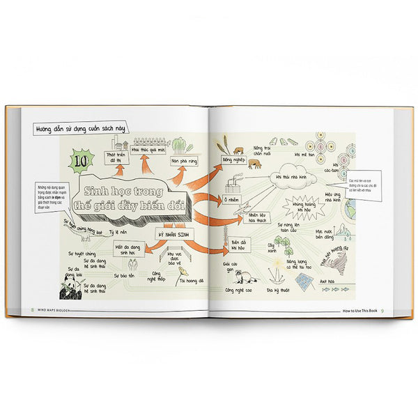 Sách Sơ Đồ Tư Duy Sinh Học - Min Map Biology ( Tặng Kèm Bookmark)