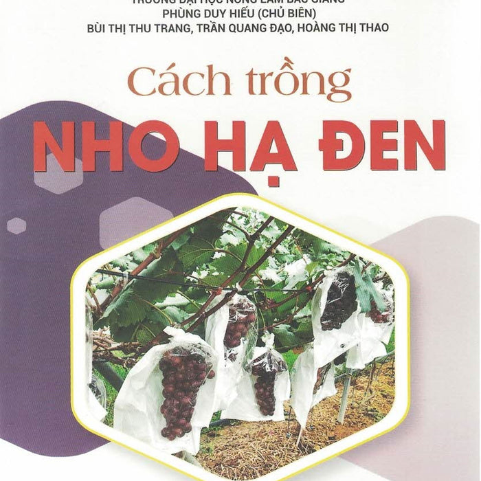 Cách Trồng Nho Hạ Đen