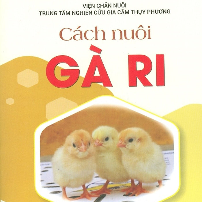 Cách Nuôi Gà Ri