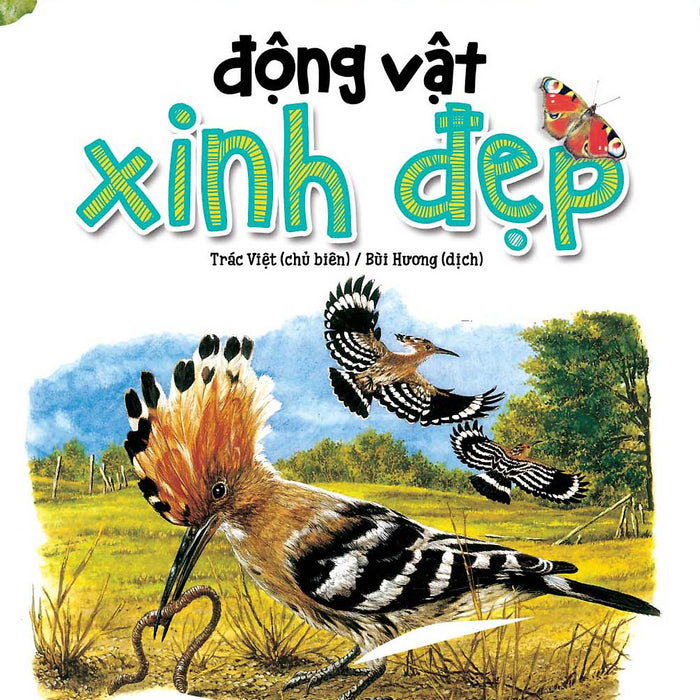 Động Vật Xinh Đẹp