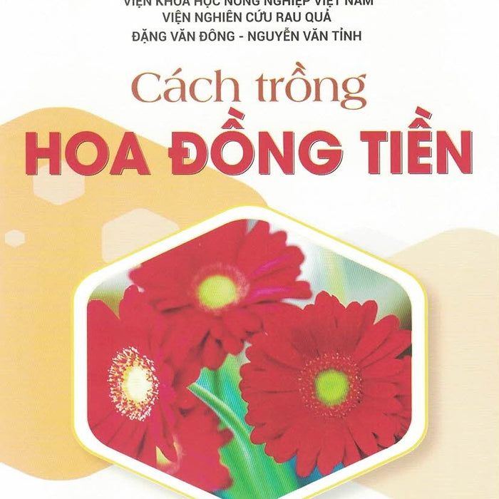 Cách Trồng Hoa Đồng Tiền