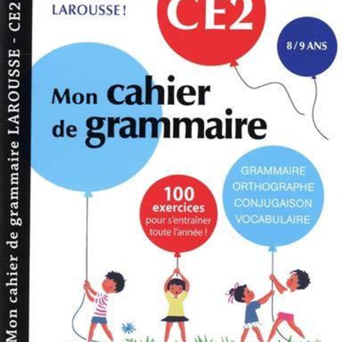 Sách Luyện Kĩ Năng Tiếng Pháp - Petit Cahier De Grammaire Larousse Ce2 Cho Lớp 3