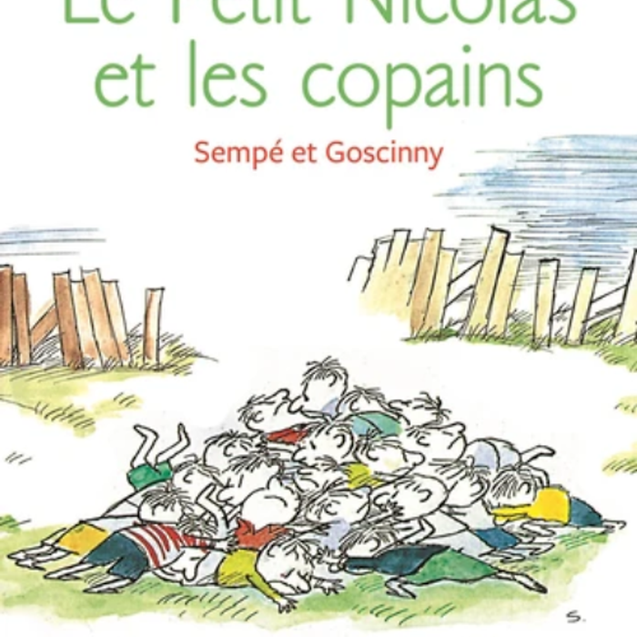 Tiểu Thuyết Thiếu Niên Tiếng Pháp: Le Petit Nicolas Et Les Copains