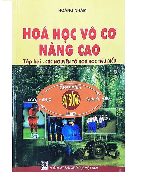 Hóa Học Vô Cơ Nâng Cao, Tập 2: Các Nguyên Tố Hóa Học Tiêu Biểu