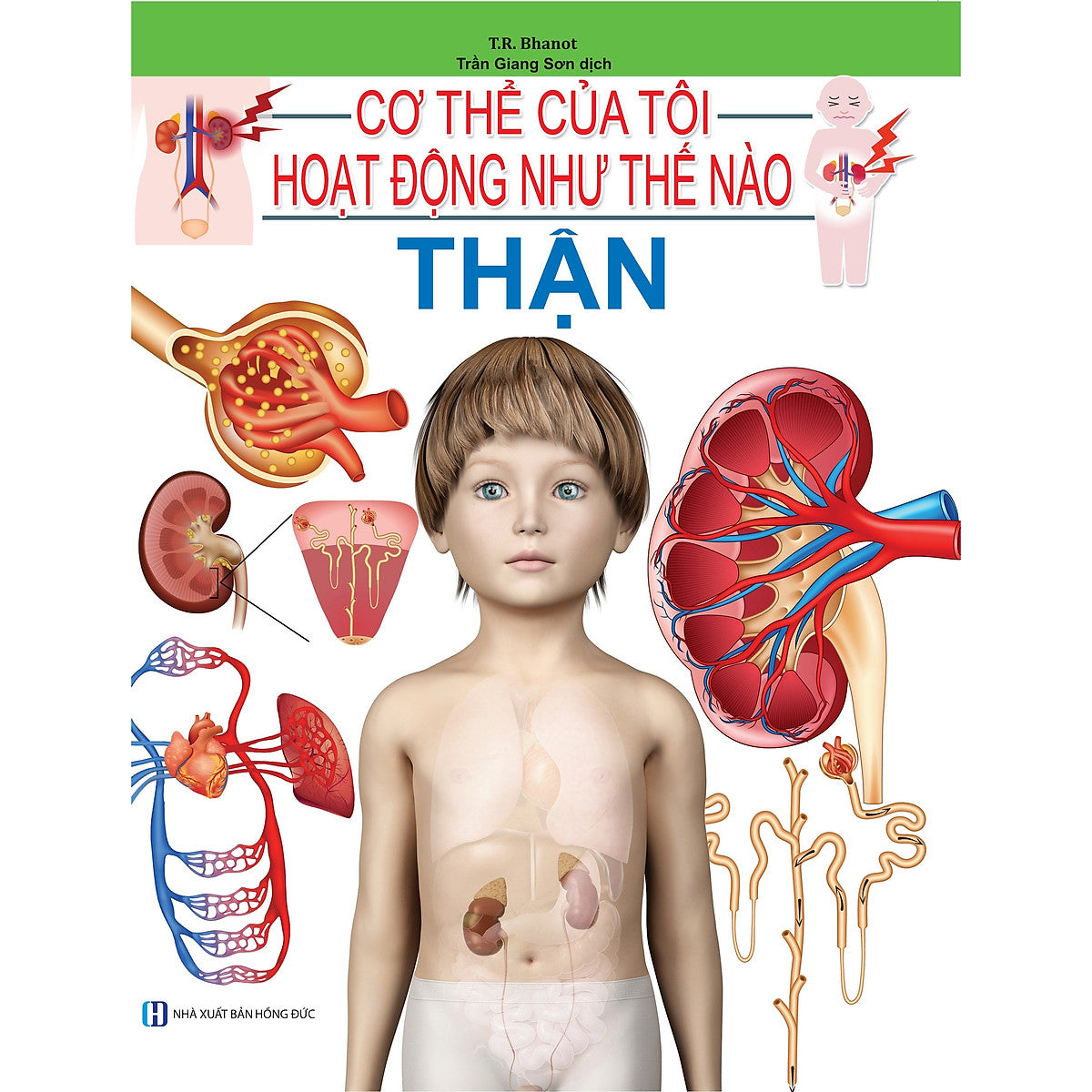 Cơ Thể Của Tôi Hoạt Động Như Thế Nào - Thận - 12