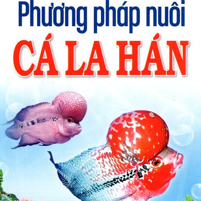 Phương Pháp Nuôi Cá La Hán