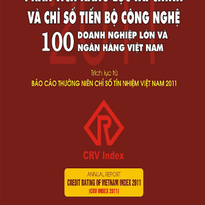 Phân Tích Năng Lực Tài Chính Và Chỉ Số Tiến Bộ Công Nghệ - 100 Doanh Nghiệp Lớn Và Ngân Hàng Việt Nam